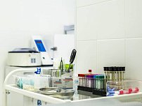 Медок в Митино